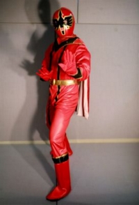 Power Ranger Samuri Costume