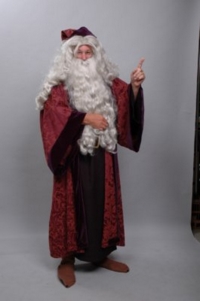 Dumbledore (Harry Potter)
