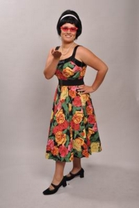 1950s day dress Costume