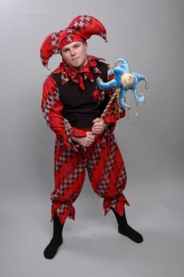 the court jester book the court jester book