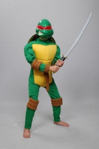 Ninja Turtle Child Costume