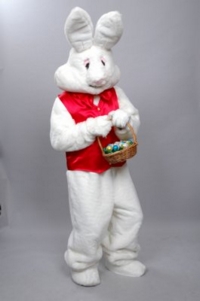 Easter Bunny Costume