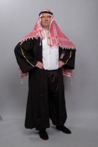 Sheik Costume