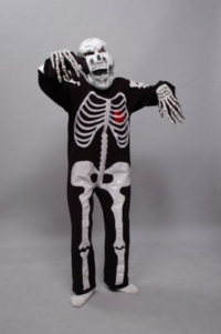 Skeleton Costume