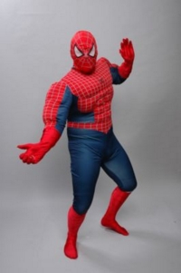 Spiderman Costume