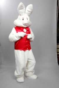 White Rabbit Costume