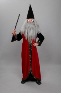 Wizard Child Costume