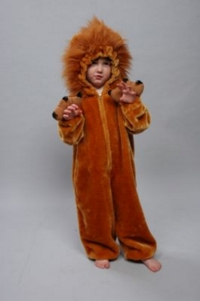 Lion Child Costume